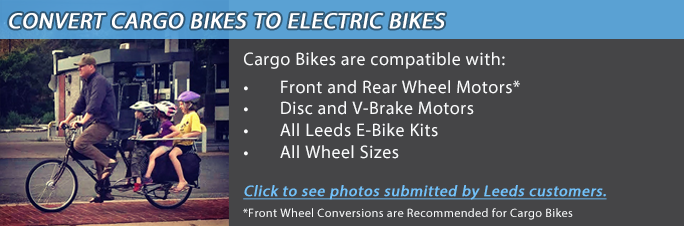 cargo-electric-bikes-5.png