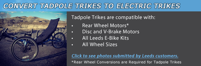 tadpole-trikes-electric.png